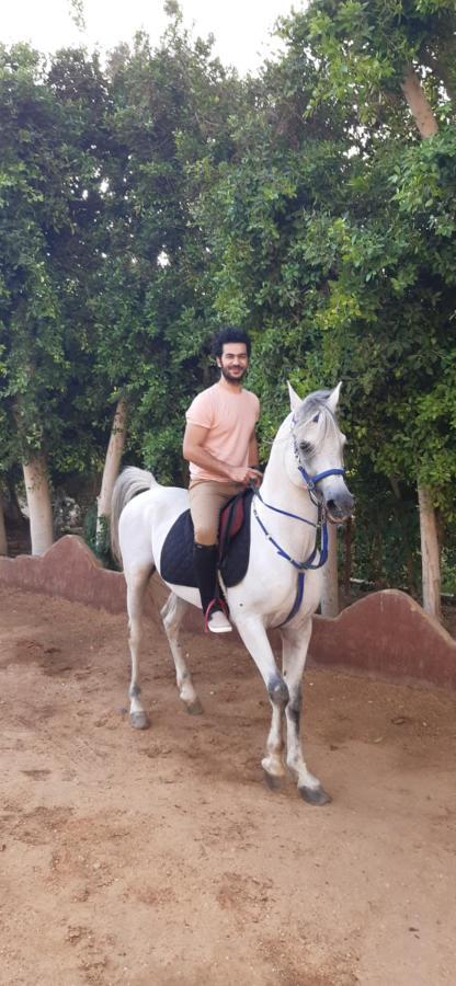 The Farm - Hotel & Horse Riding Каир Экстерьер фото