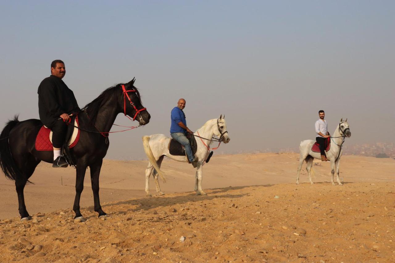 The Farm - Hotel & Horse Riding Каир Экстерьер фото