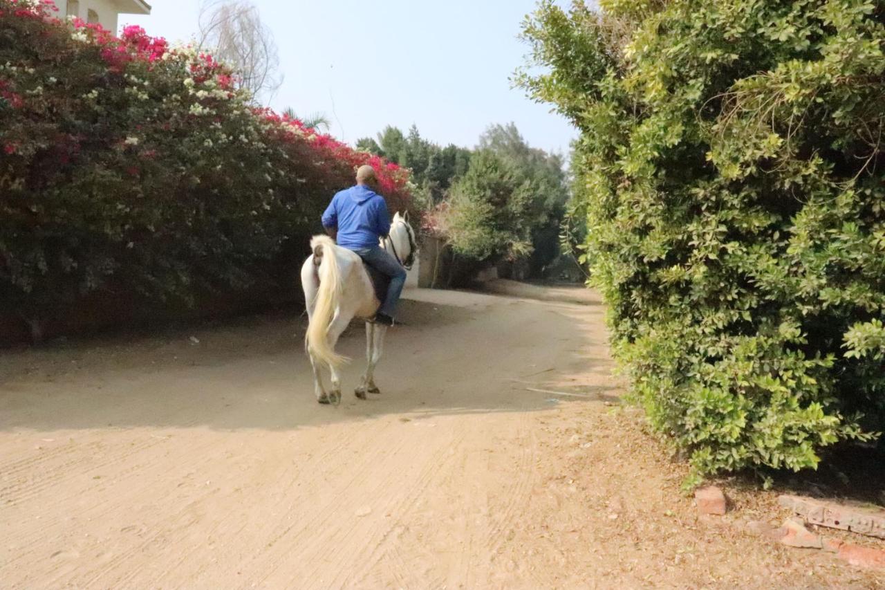 The Farm - Hotel & Horse Riding Каир Экстерьер фото